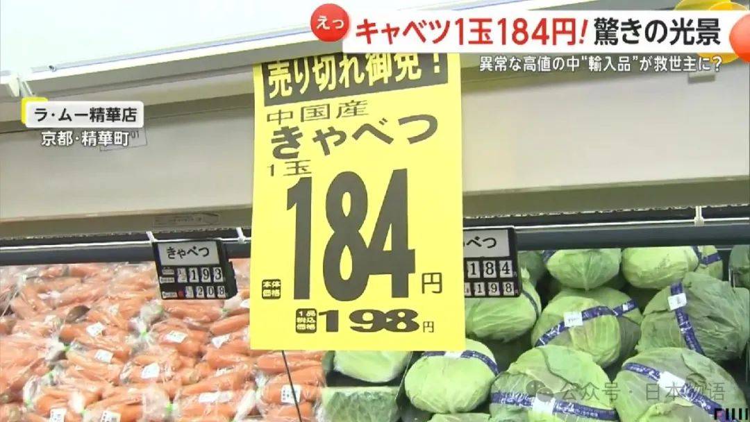 日本菜价暴涨，中国产“卷心菜”成为日本餐桌的救世主，进口量暴涨19倍~