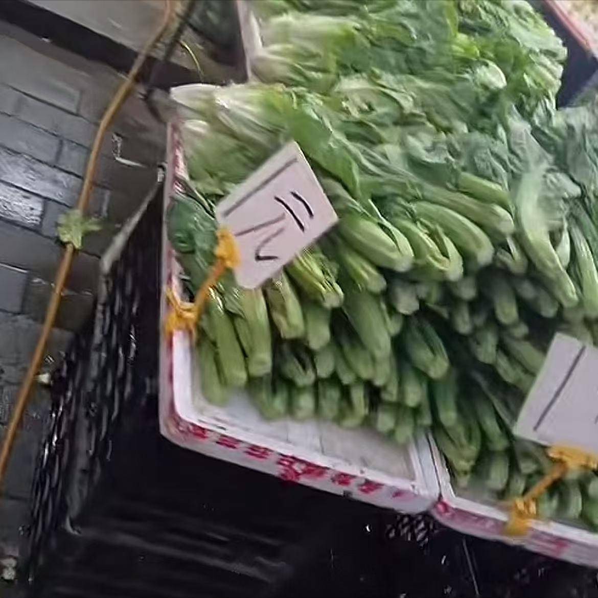 太惨了！芹菜菜价跌落到4毛没人要，河南蒜苔滞销，消费者下决心