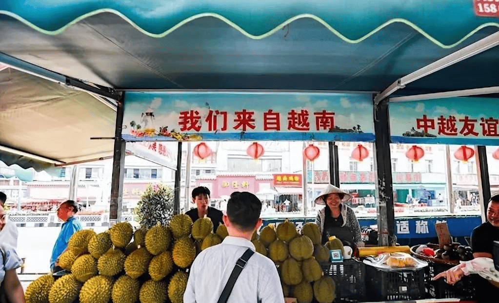 苏林上任后立刻访华，越南来中国求办三件事！美国束手无策