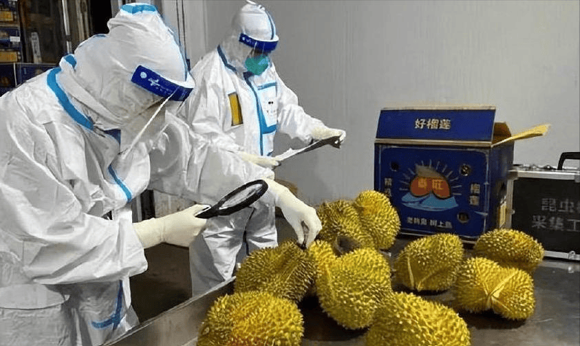 苏林上任后立刻访华，越南来中国求办三件事！美国束手无策