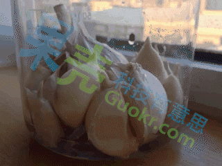 腊八蒜是怎么炼成的？或者说……是怎么变绿的？