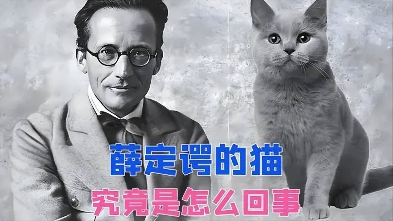 如何理解“薛定谔的猫”？为什么这只猫“既死又活”？