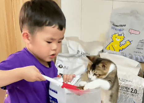 小孩哥被流浪猫跟随，医生说活不过当晚，结果被爱后疯狂长出血肉