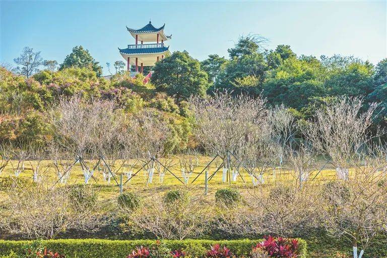 深新早点｜10级大风！深圳最低9°C！强冷空气即将杀到……