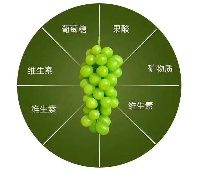 北回归线上的绿色精灵，这才是大理最值得吃的果王！！