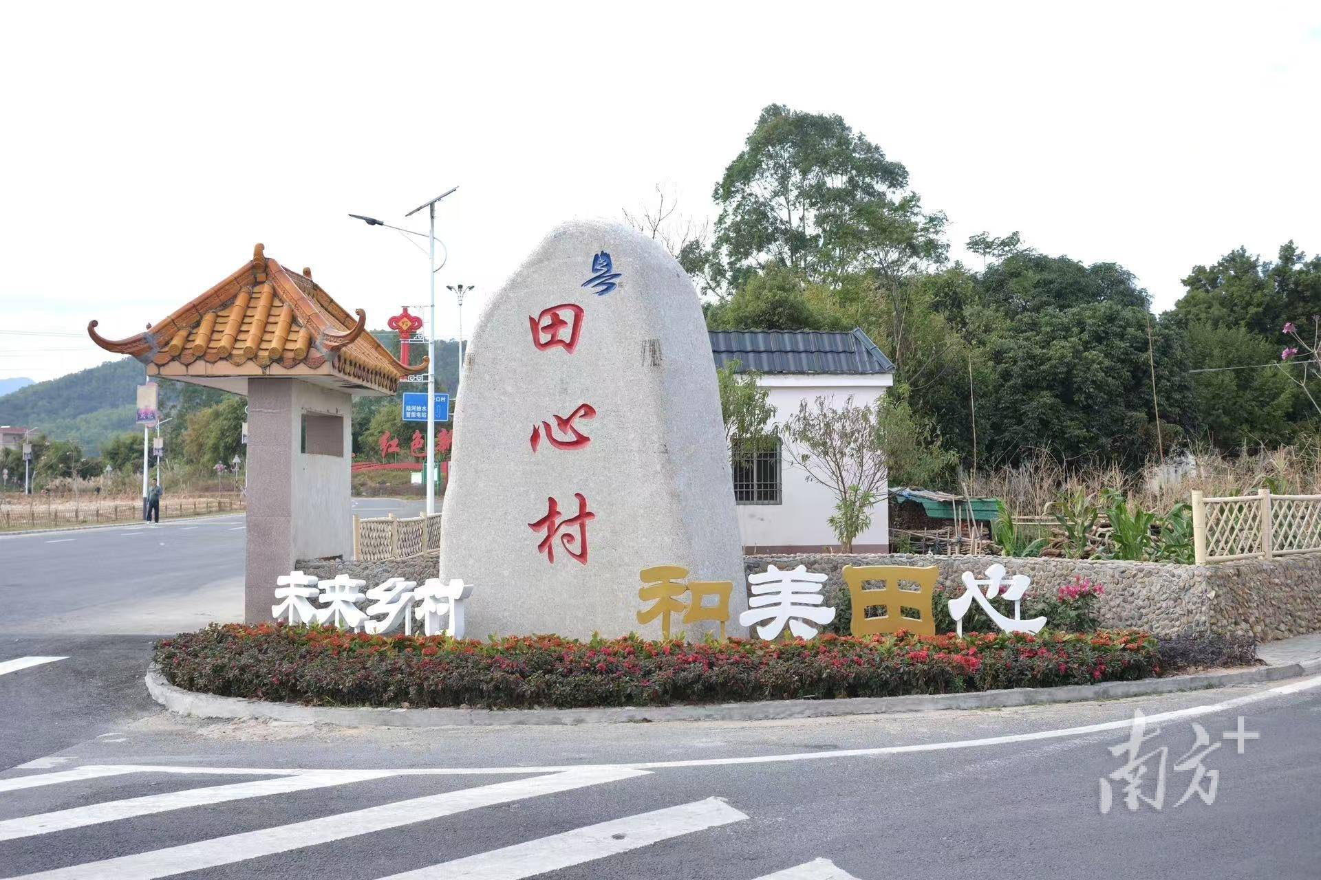 陆河新田镇田心村：40天的秘密