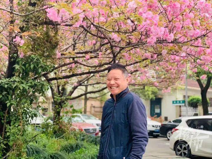 “枝干轻轻一掰就断！”杭州几棵15年以上的樱花树生病了，居民很揪心