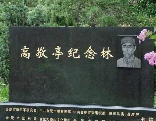 毛主席晚年收到举报信，说新四军有冤情，毛主席感叹：责任在项英