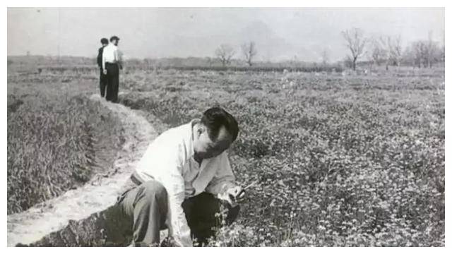 吴冷西忆毛主席：冷静的促进派