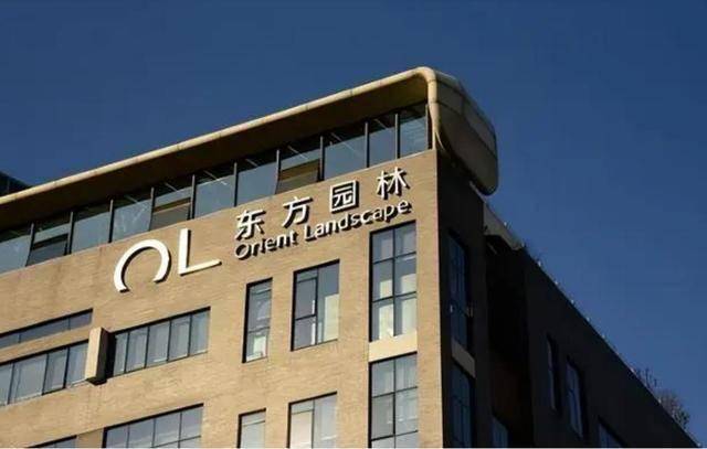“中国败类”何巧女，拖欠员工工资却捐款美国95亿，如今下场如何