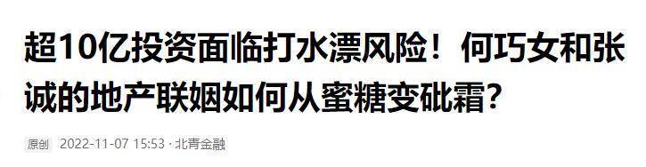 “中国败类”何巧女，拖欠员工工资却捐款美国95亿，如今下场如何