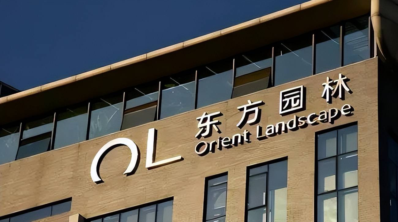 中国败类何巧女，拖欠员工工资捐款美国95亿，现在靠卖房还债
