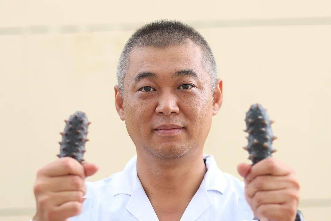 正宗大连辽刺参多少钱一斤？大连渔民直供，居然这么便宜