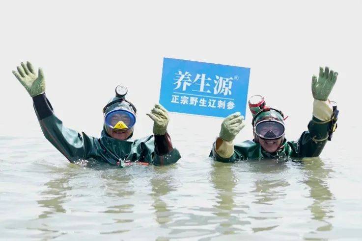 正宗大连辽刺参多少钱一斤？大连渔民直供，居然这么便宜