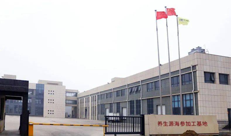 正宗大连辽刺参多少钱一斤？大连渔民直供，居然这么便宜