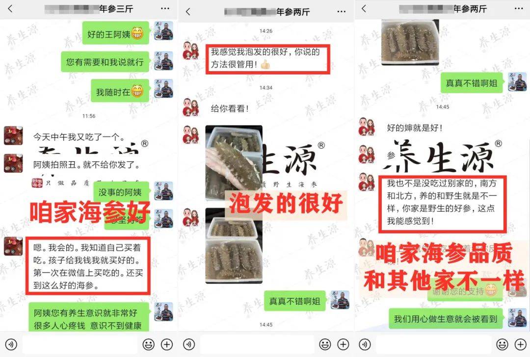 正宗大连辽刺参多少钱一斤？大连渔民直供，居然这么便宜