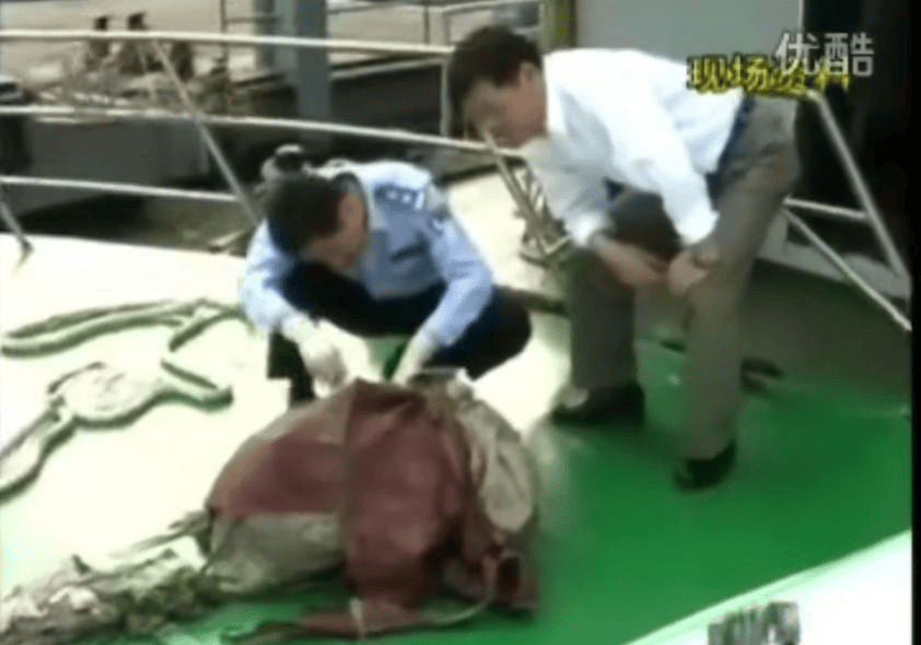 世博年的上海一号大案，2010年上海十六铺旅游码头无名女尸案始末