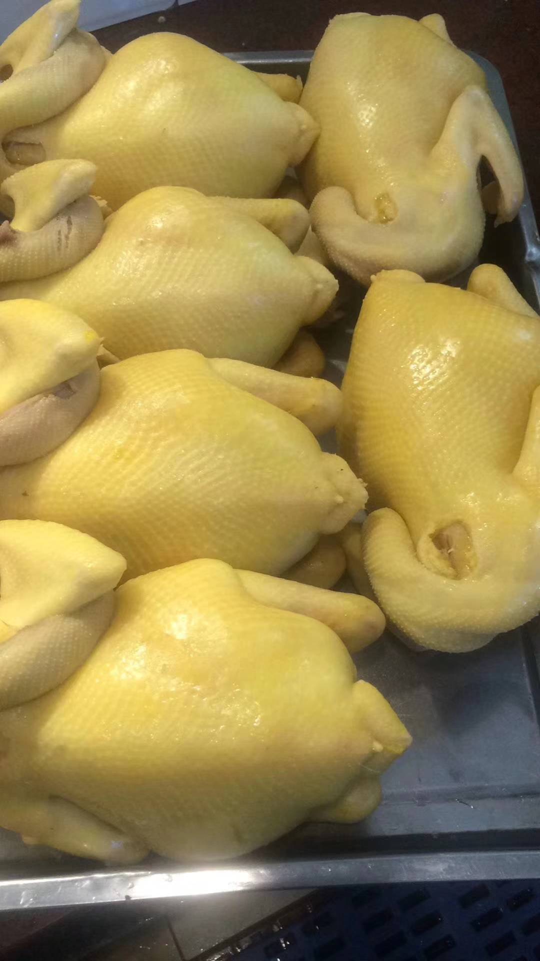 广西来宾卢老板将高蛋白药草兼用牧草苎麻一号粉碎发酵后喂鸡，养殖过程疾病少，效益高