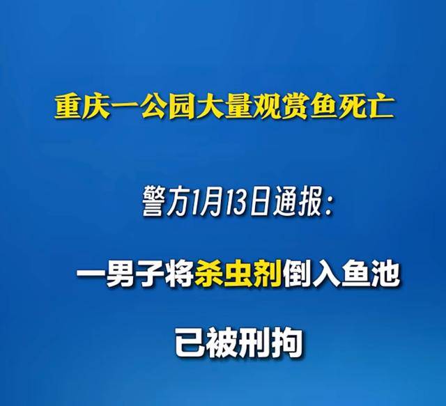 重庆江北嘉陵公园投毒案细节曝光！光天化日之下，一瓶杀虫剂毁掉百条观赏锦鲤，因嫉妒生意兴隆而作案！