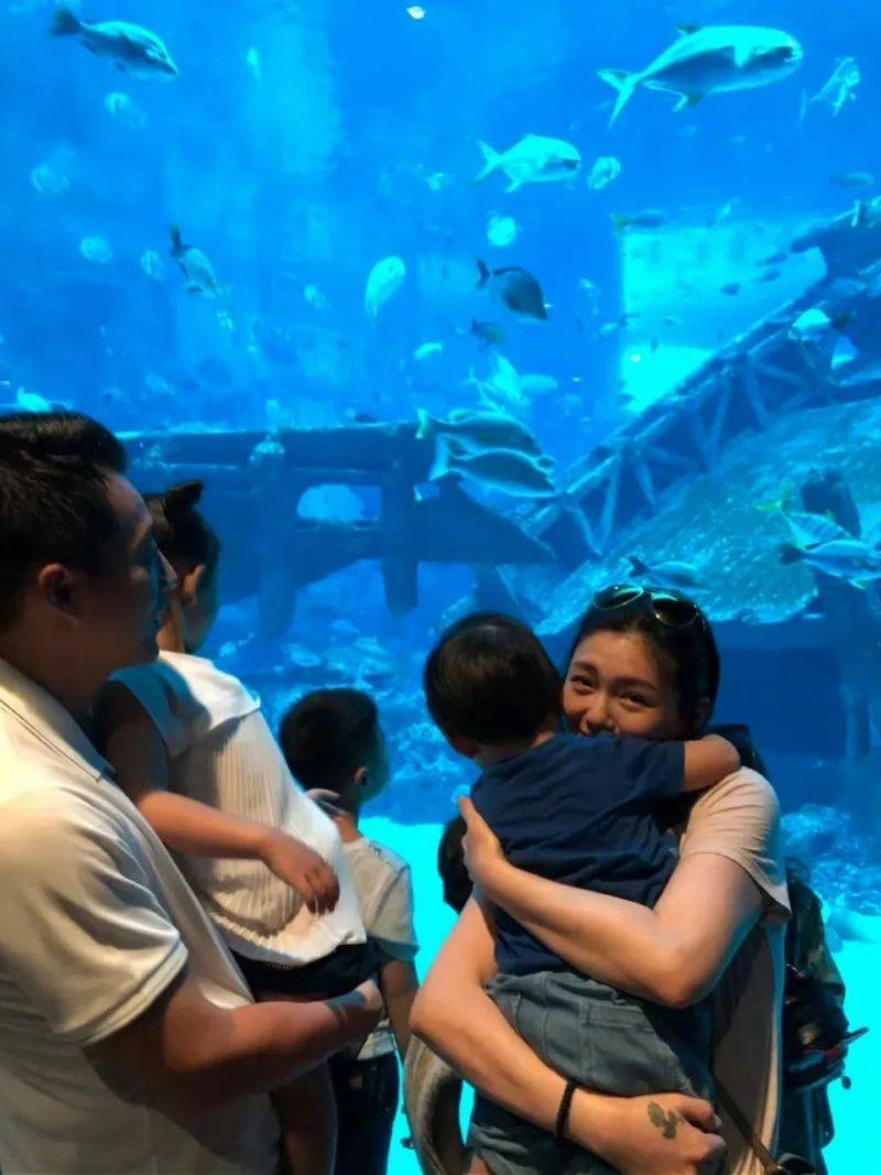 律师分析大S豪宅贷款纠纷：其子女清偿部分汪小菲应代为处理