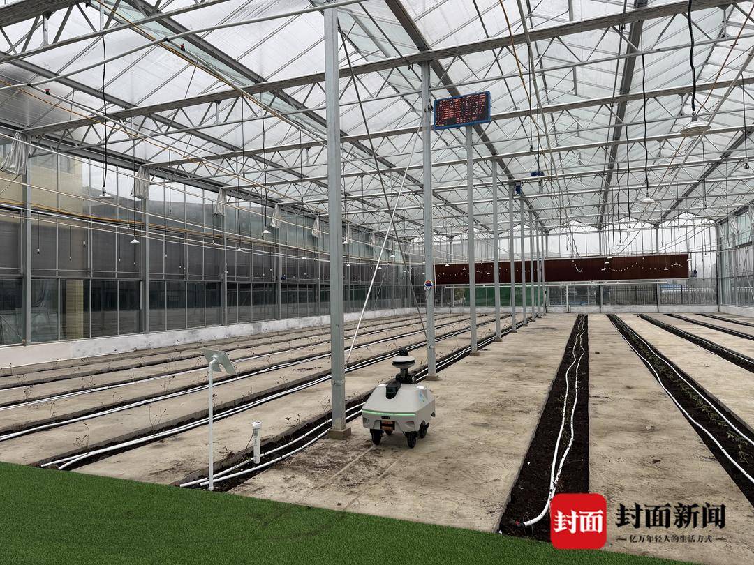 成都造“机器狗”准备种田了！目前已接入DeepSeek 未来将实现多项农作物监测功能