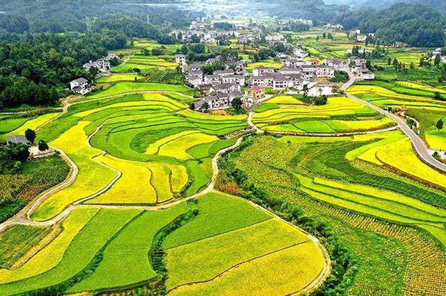 大胆试大胆闯主动改｜写在国发〔2022〕2号文件出台三周年之际