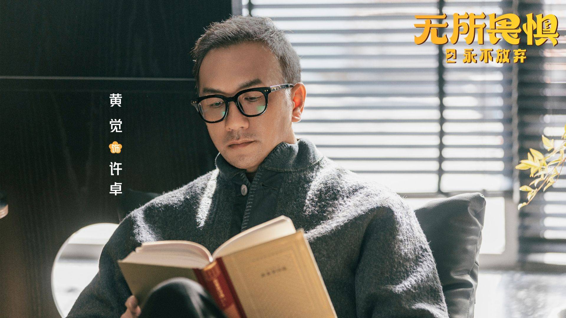 无所畏惧2：直到被方睿追求，夏舒才知，父亲入狱是许卓的手笔