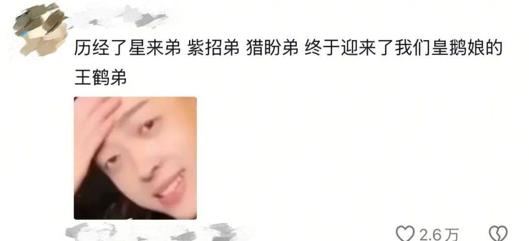 王鹤棣：“预制大爆剧”男主，香槟真的开早了。