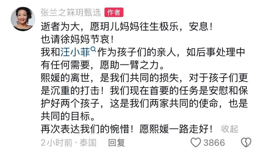 张兰发文悼念，大S儿女抚养权或重归汪小菲