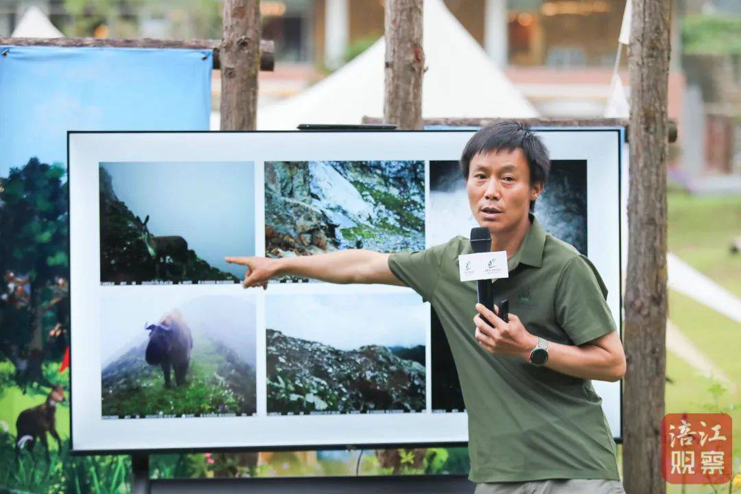 点赞！绵阳钟玉琼、罗春平、杨桂花