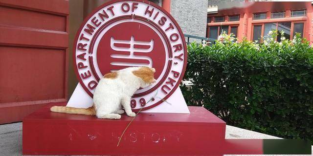 24年世界大学排名，中美俄上榜差距断崖：美107所俄16所，中国呢