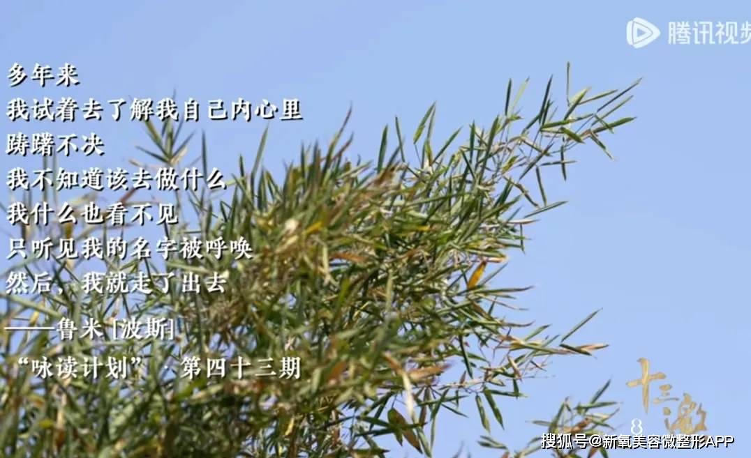 从原生家庭中杀出来的她，嫁给王菲初恋是最不值得一提的事