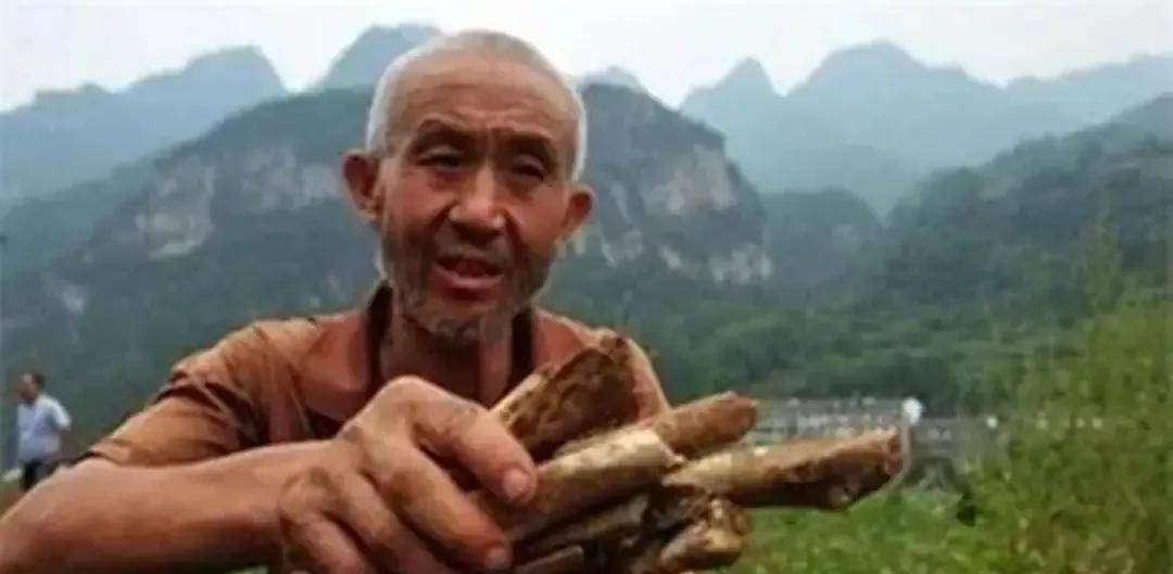 2010年，湖北大雨冲出数千具骸骨，揭开尘封60多年的往事令人泪目