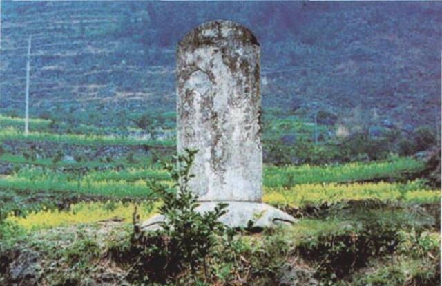 2010年，湖北发现3000多具尸骨，73岁老人站出来：我知道他们是谁