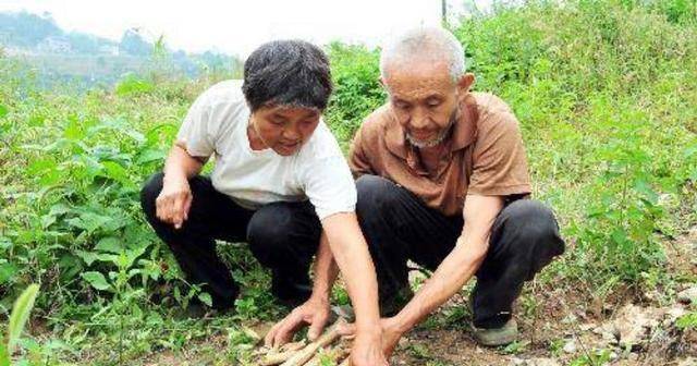 2010年，湖北发现3000多具尸骨，73岁老人站出来：我知道他们是谁
