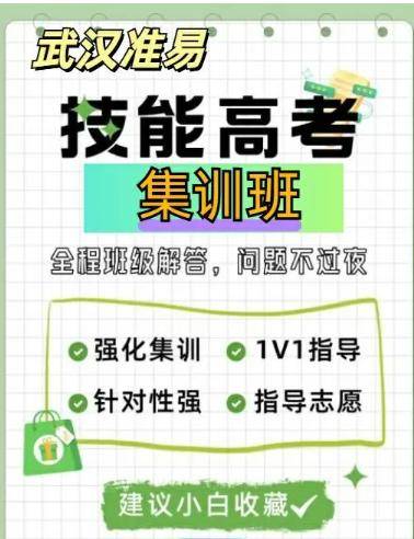 湖北武汉准易技能高考技能文化课冲刺班：名师教学，高效提分！