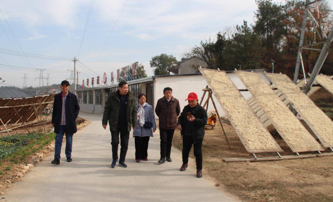领导的关怀是企业前进的动力源泉：鄂州市老领导走访沙窝好口味豆丝厂