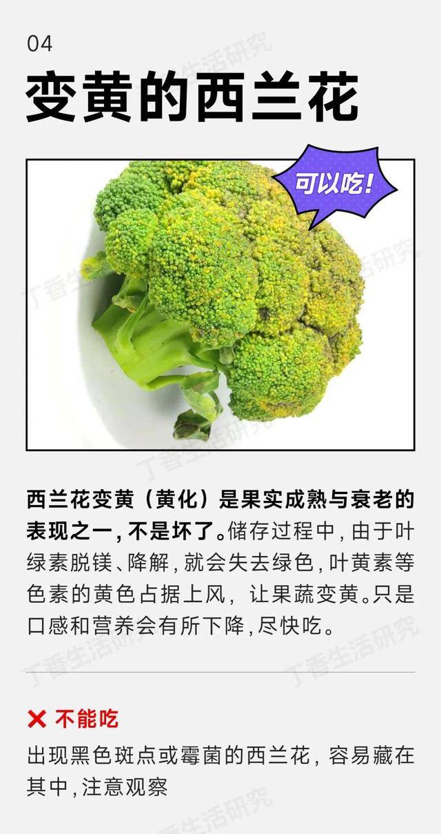 白菜长黑点还能不能吃？答案来了……
