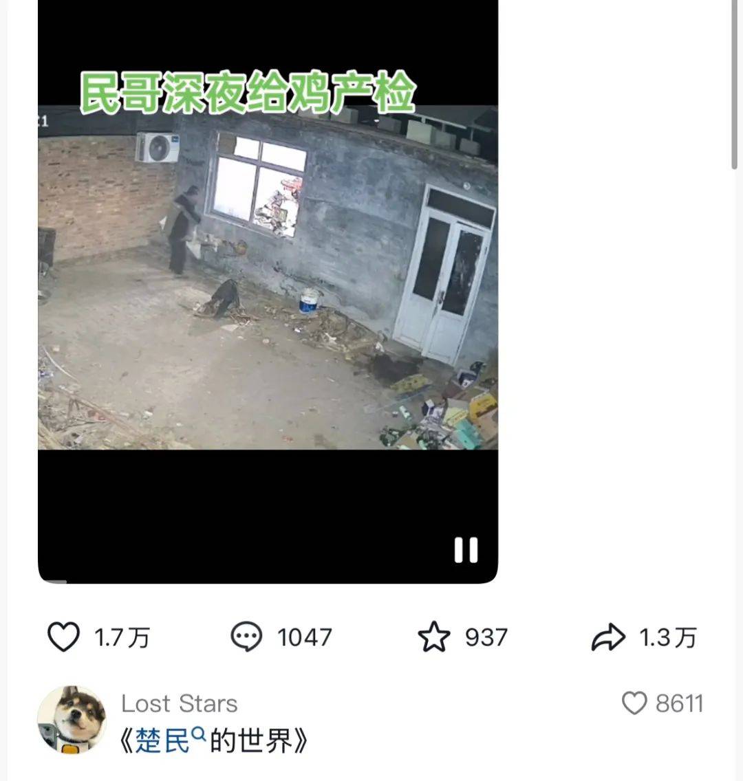 沧州版“楚门的世界”火了，乡亲们24小时直播捧红网红民哥