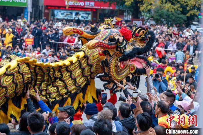 38米大金龙亮相广西藤县 龙狮巡游传递新春祝福