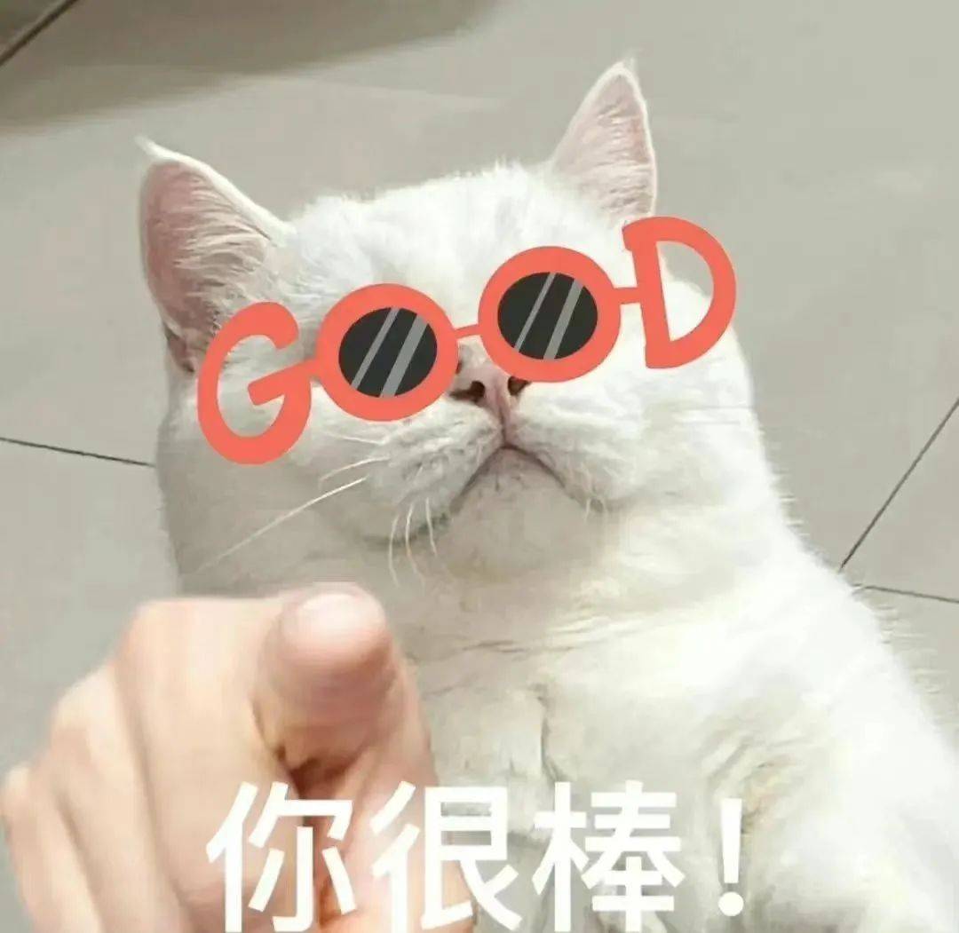 期末周：我来了！大学生：在学了在学了，恨不得变身八爪鱼