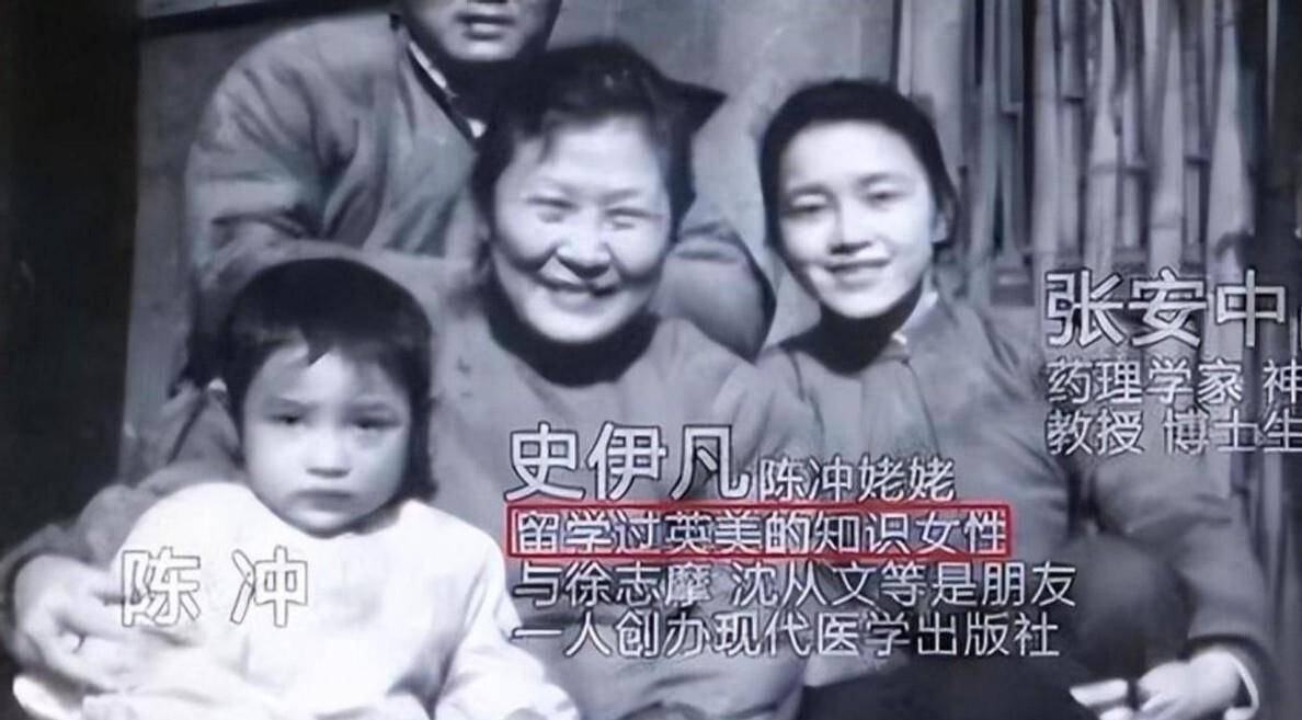 陈冲：双面人生，风波背后的巨星