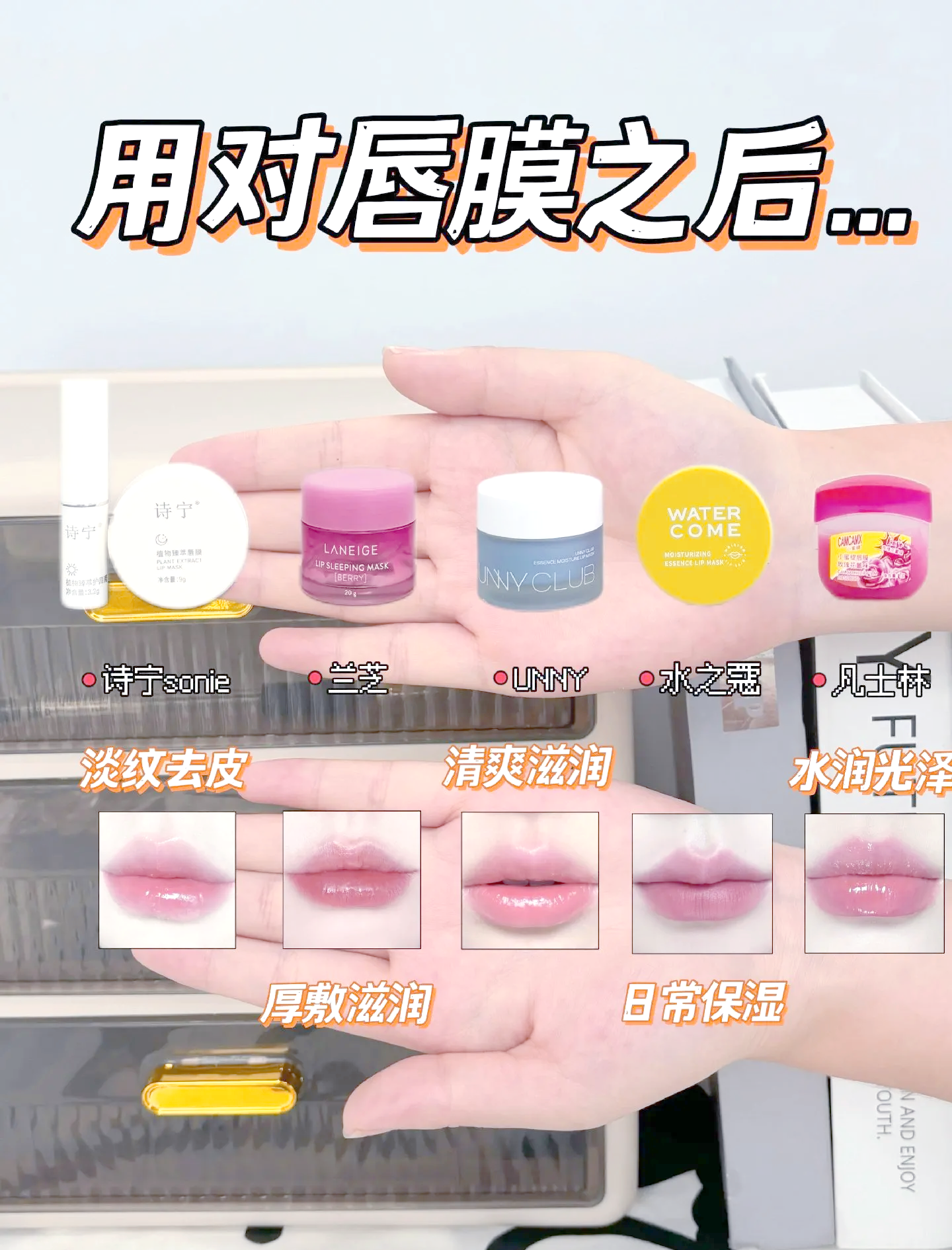 唇膜(唇膜的作用)
